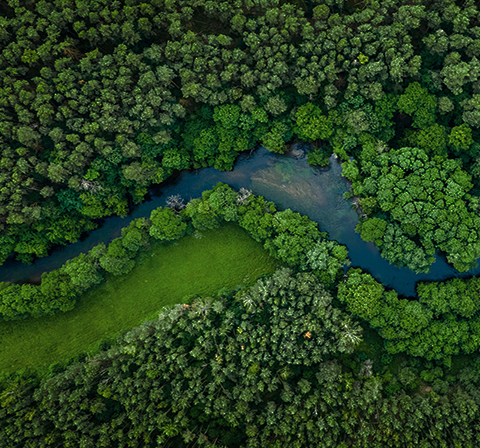 Forst verbindet Ihre Kapitalanlage mit den Aspekten Nachhaltigkeit, ESG und Klimaschutz 